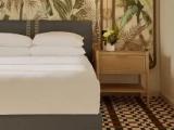 Accessible Double room