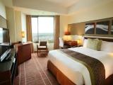 Standard Smoking Double room