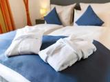 Standard Double room with Rhine view