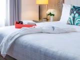 Premium Quadruple room