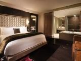 Rock Star Gold Double Suite