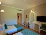Standard Double room with pool view