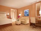 Premier room Harbour View