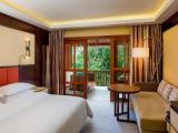 Deluxe Double room with island view