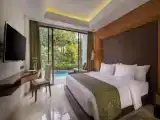 Deluxe Access Double room Pool View