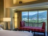 Twin Junior Suite with garden view