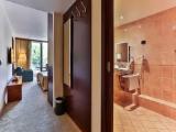 Standard Accessible Double room