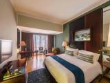 Deluxe Double room with city view