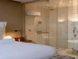Executive Double Suite