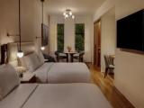 Deluxe Twin room with park view