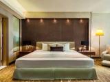 Superior Accessible Double room