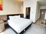 Mint Premier Suite