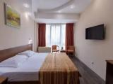 Standard (panoramic window) Double room with view