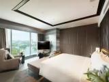 1 Bedroom Presidential Double Suite