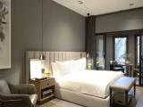 Double Junior Suite