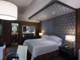 Premium Level Double Junior Suite