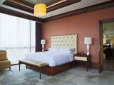 Presidential Club Lounge Access CBD View Double Suite