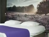 Comfort Terrace Double room