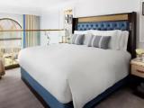 Family Bi-Level Suite