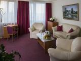 Business Twin Suite