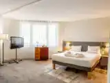 Executive Double Suite