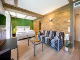 Deluxe Double room with garden view