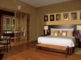 Double Junior Suite with garden view