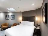 Royal Double Apartment Suite with Kitchenette