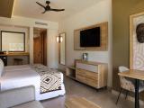 Accesible Double Junior Suite
