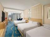 Three Beds Family room with city view