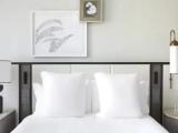 BW Accessible Quadruple Studio Suite