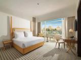 Executive Double Suite