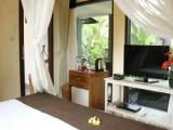 Deluxe Double Villa with garden view