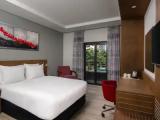 Standard Double room with balcony and with pool view