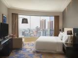 Executive Club Lounge Access Double Suite