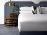 Studio Double Suite