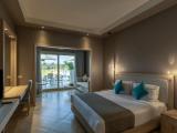 Deluxe Swim Up Double room