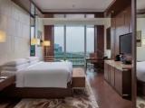 Executive Lounge Access Double room with city view