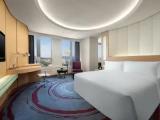 Standard Lounge Access Double room with city view