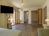 Deluxe Double Suite with mountain view