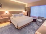 Executive Double Suite