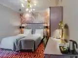 Premium Twin room with park view