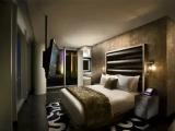 Rock Star Multi-platinum Double Suite