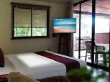 Treetop Double Suite