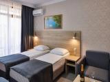 Standard Twin room with balcony and with Wall View
