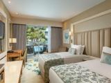 Standard Swim-up Annex Twin room with balcony