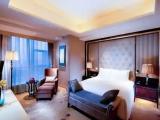 Deluxe Hilton Lounge Access Double Suite