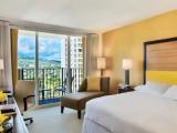 1 Bedroom Premium Double Suite with mountain view
