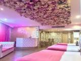Themed Sextuple room