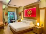 Deluxe Double room with balcony and with garden view